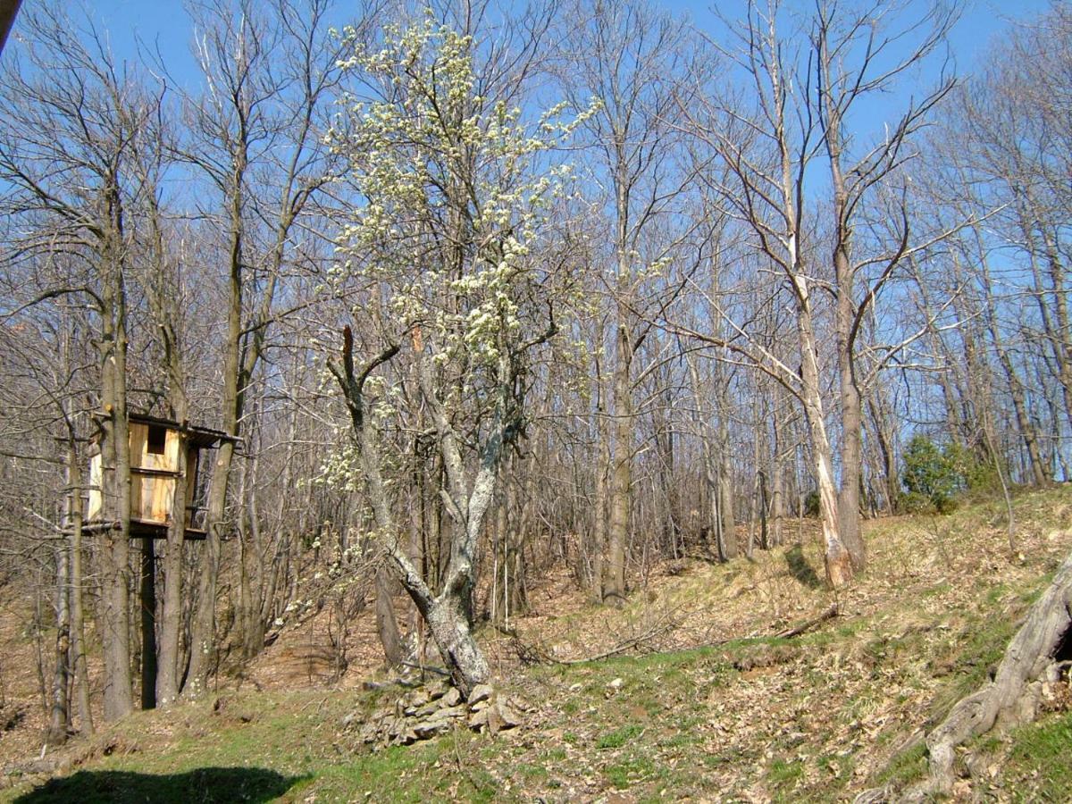 Casa Nel Bosco Villa Osiglia Exterior foto